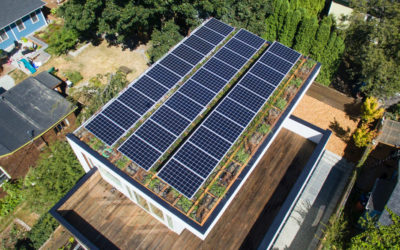 Solar Panels And A Green Roof Were Included On Top Of This New House In Seattle